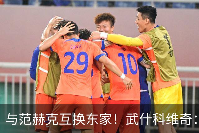 与范赫克互换东家！武什科维奇：我也不知道为什么热刺不想要我了