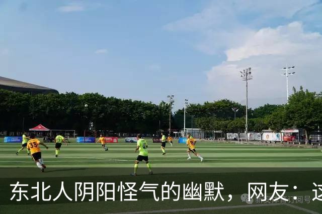 东北人阴阳怪气的幽默，网友：这形容词我一辈子都想不起来！