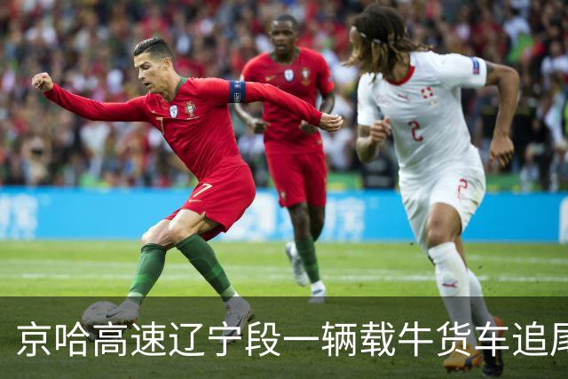 京哈高速辽宁段一辆载牛货车追尾后发生侧翻，后方货车刹车不及撞上多头奶牛，当地：无人员伤亡，具体事故原因及财物损失正调查统计