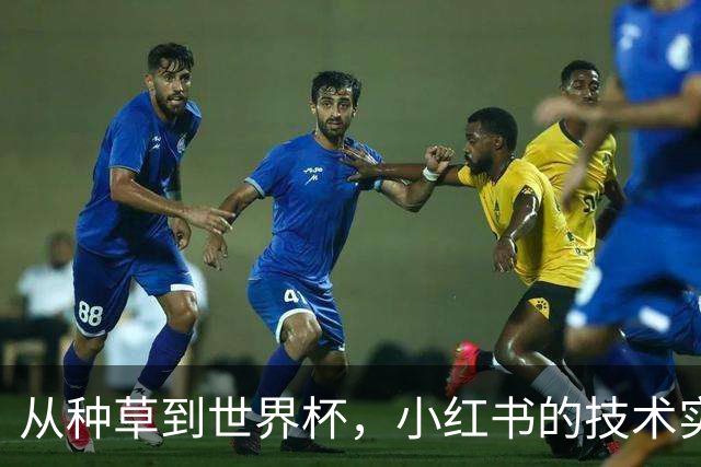 从种草到世界杯，小红书的技术实力藏不住了