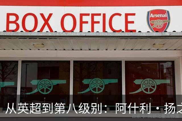 从英超到第八级别：阿什利·扬之子加盟垫底队