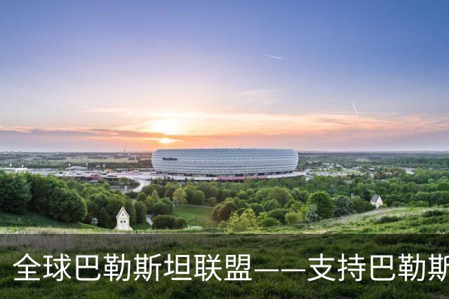 全球巴勒斯坦联盟——支持巴勒斯坦抗议示威活动的组织者，以色列面对的第二条战线