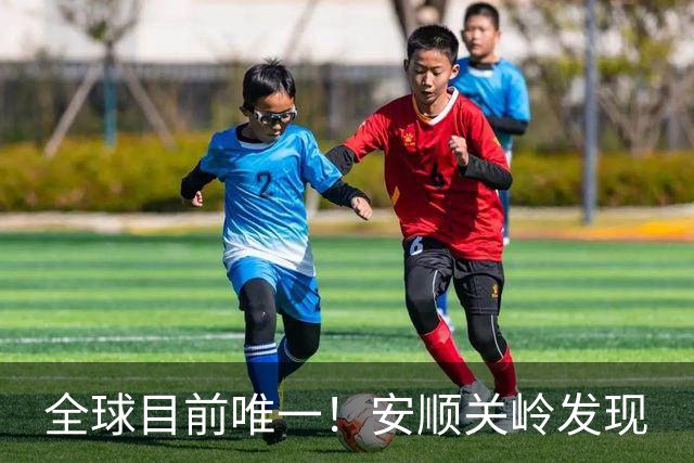 全球目前唯一！安顺关岭发现