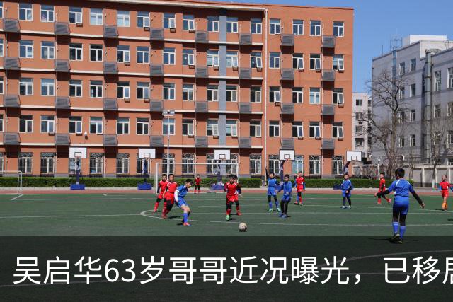 吴启华63岁哥哥近况曝光，已移居热带地区休养四年，至今未婚未育