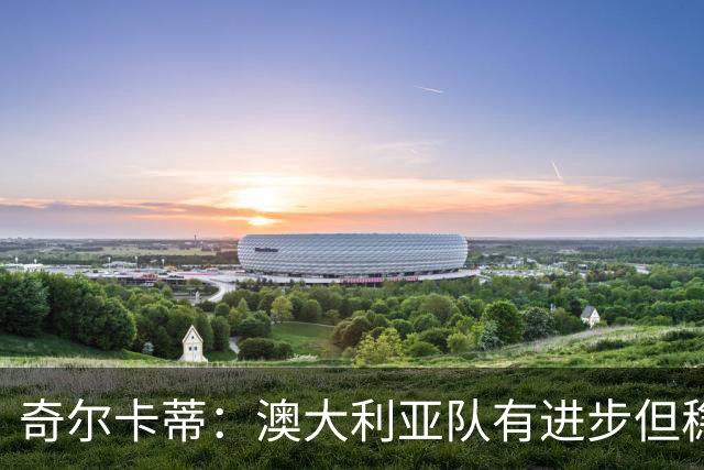 奇尔卡蒂：澳大利亚队有进步但稳定性不足，后来比赛势头完全倒向了巴西