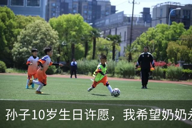 孙子10岁生日许愿，我希望奶奶永远消失，儿子儿媳笑倒在沙发上