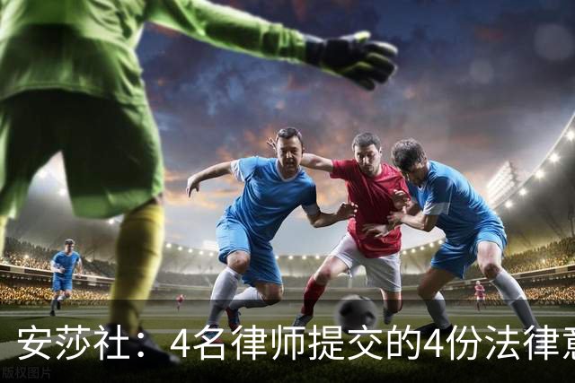 安莎社：4名律师提交的4份法律意见认为马拉戈当选无效