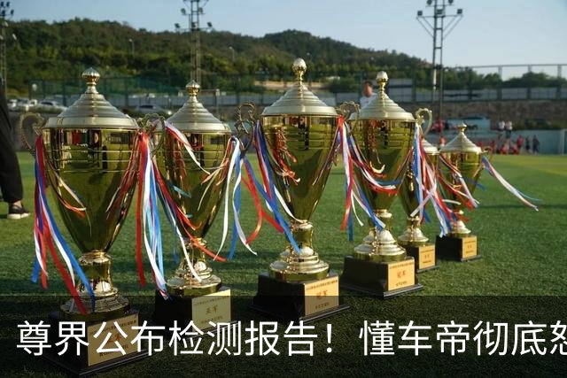 尊界公布检测报告！懂车帝彻底怒了