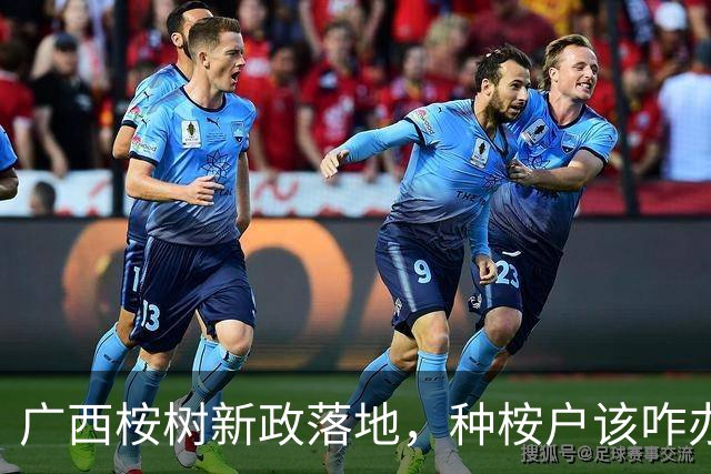 广西桉树新政落地，种桉户该咋办？