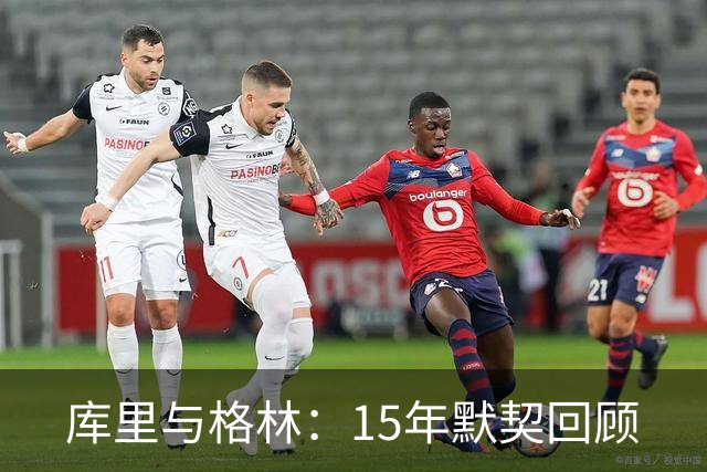 库里与格林：15年默契回顾