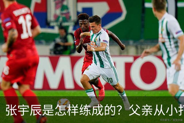 张宇辰是怎样练成的？父亲从小打基础 找各种训练师 注重基础训练