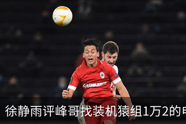 徐静雨评峰哥找装机猿组1万2的电脑：打游戏不够用！