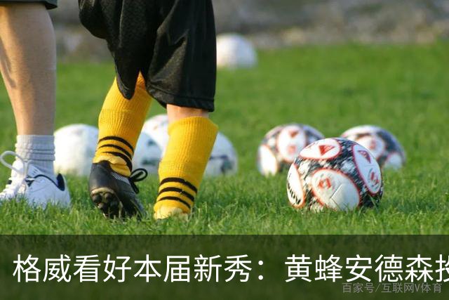 格威看好本届新秀：黄蜂安德森投篮极准 施泰因巴赫也会很优秀