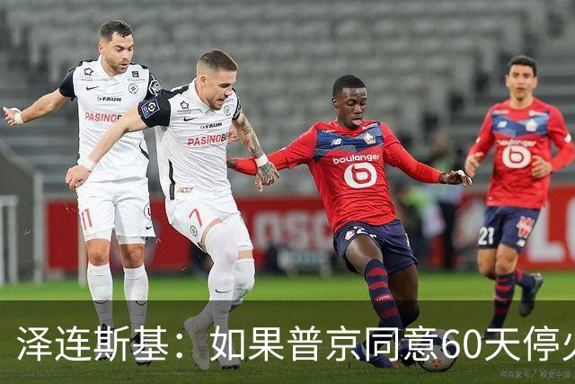泽连斯基：如果普京同意60天停火，乌克兰将举行选举