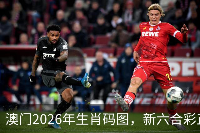 澳门2026年生肖码图，新六合彩正版图库图片资料大全，17图库澳门免费图库，第286期新六合彩精准内部资料100%准吗澳门图库大全49图库