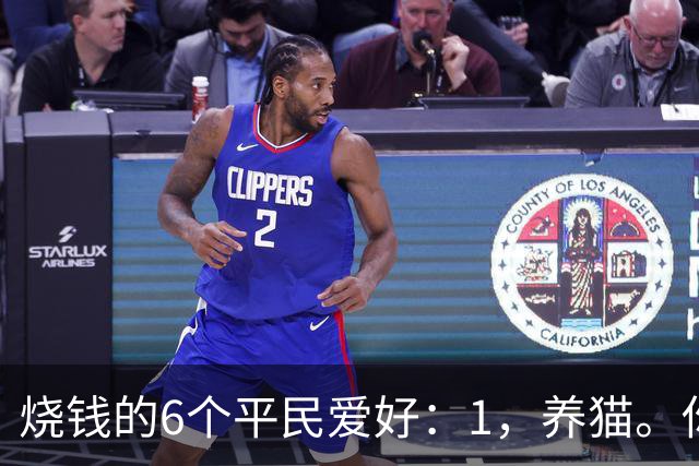 烧钱的6个平民爱好：1，养猫。你以为养的是猫…