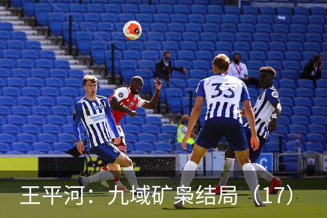 王平河：九域矿枭结局（1/7）