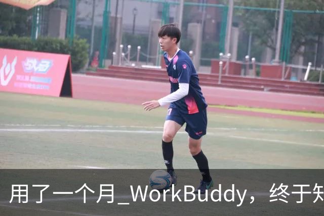 用了一个月 WorkBuddy，终于知道它和 ChatGPT 差在哪了