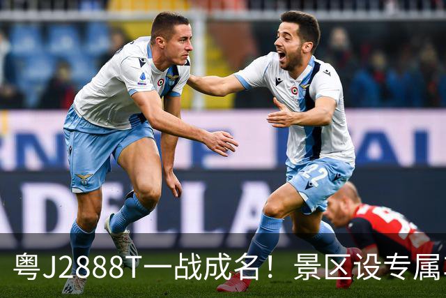 粤J2888T一战成名！景区设专属车位，网友：这排面全国独一份