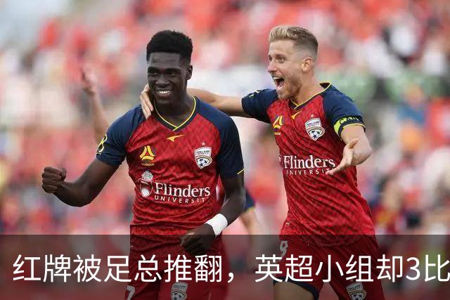 红牌被足总推翻，英超小组却3比2认定该罚下