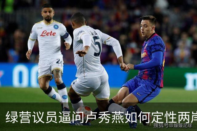 绿营议员逼问卢秀燕如何定性两岸关系，卢讲不出“两岸同属一中”！