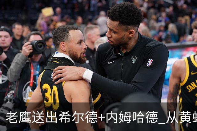 老鹰送出希尔德+内姆哈德 从黄蜂得到芬尼-史密斯