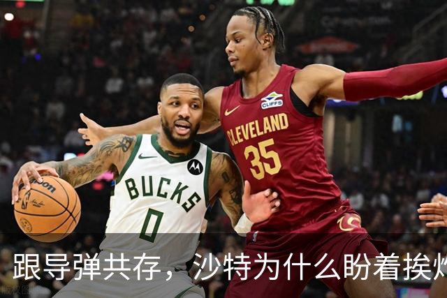 跟导弹共存，沙特为什么盼着挨炸？