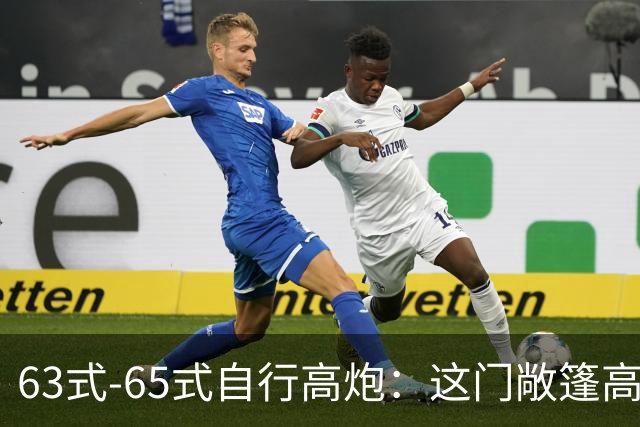 63式-65式自行高炮：这门敞篷高炮如何成了越战丛林里的火力噩梦